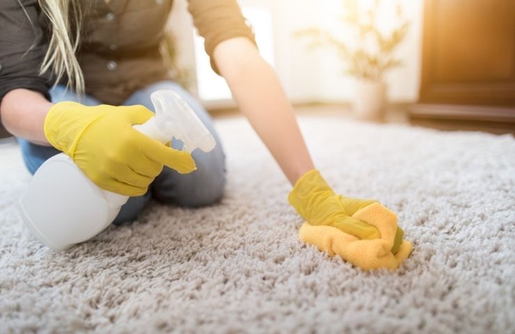 Rug Cleaning Services Kingsbridge Bronx