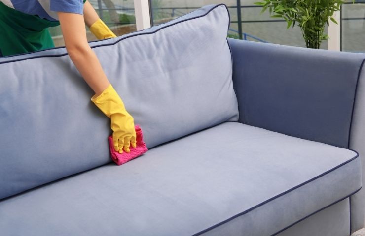 Upholstery Cleaning Highbridge Bronx