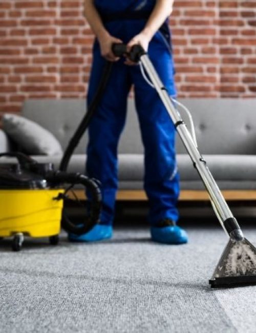 Affordable Carpeting Cleaning Services in Bronx, NY