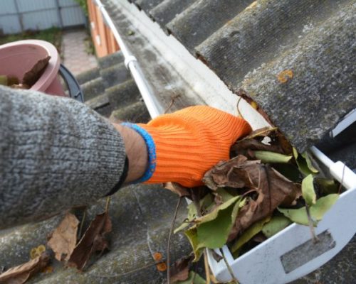 Affordable Gutter Cleaning in Bronx NY