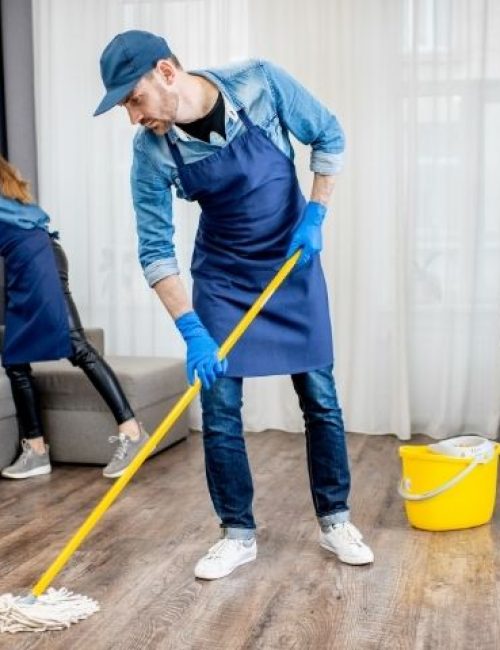 Affordable House Cleaning Services in Bronx, NY