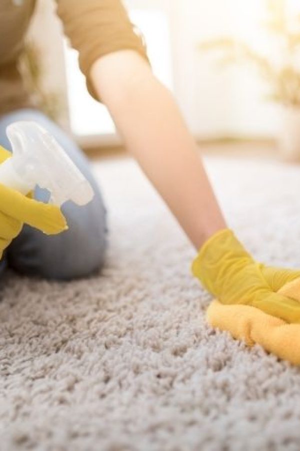 Affordable Rug Cleaning Services in Bronx, NY (2)