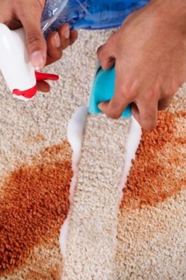 How Much Will Carpet Cleaning Cost in Bronx, NY