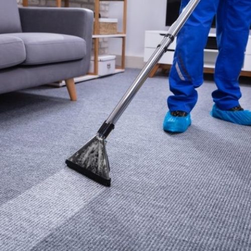 Let Us Handle Your Carpet Cleaning Needs in Bronx NY