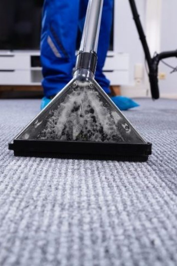 Professional Commercial Carpet Cleaning Bronx, NY