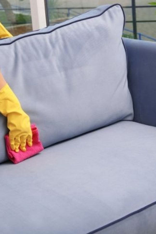 Professional Upholstery Cleaning Services in Bronx, NY