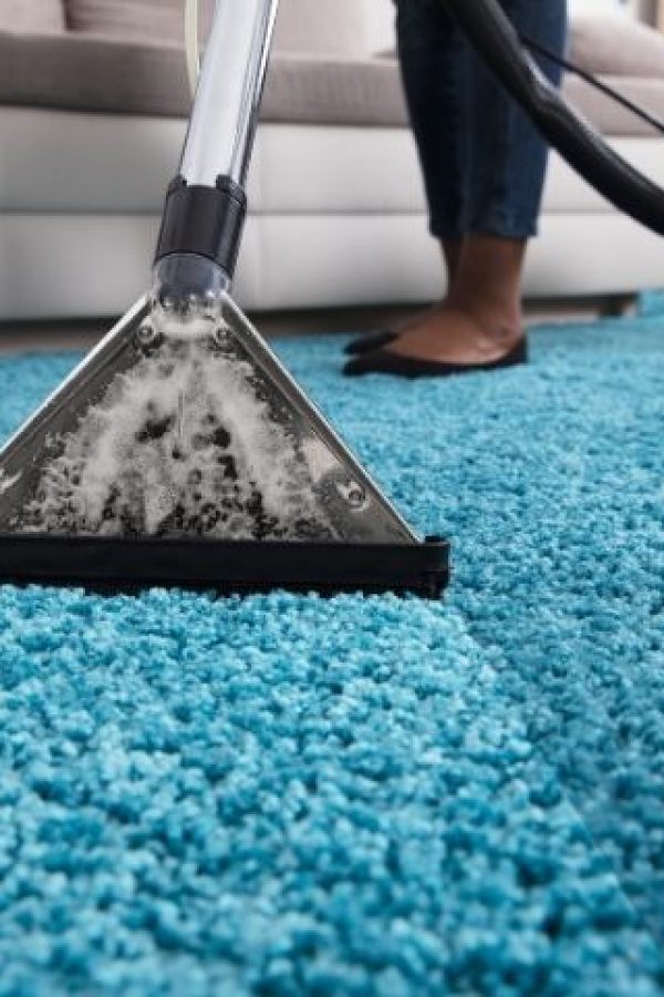 Specialized Carpet Cleaning Services in Bronx, NY