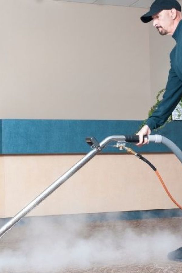 Why Choose Cleanza Carpet Cleaners for Your Commercial Carpet Cleaning Needs in Bronx